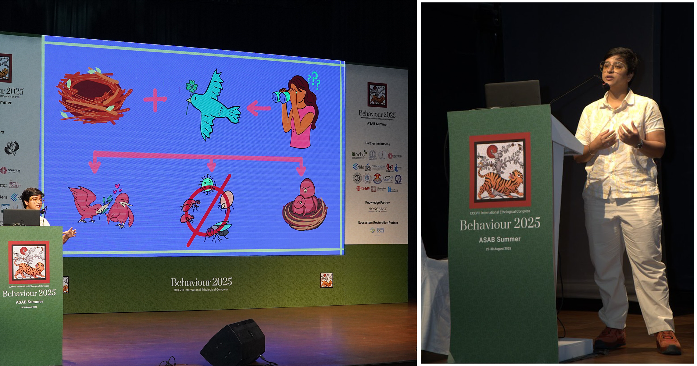 Presenter photo for Evaluating the Adaptive Function of Green Nest Material in Birds: A Systematic Review and Meta-Analysis
